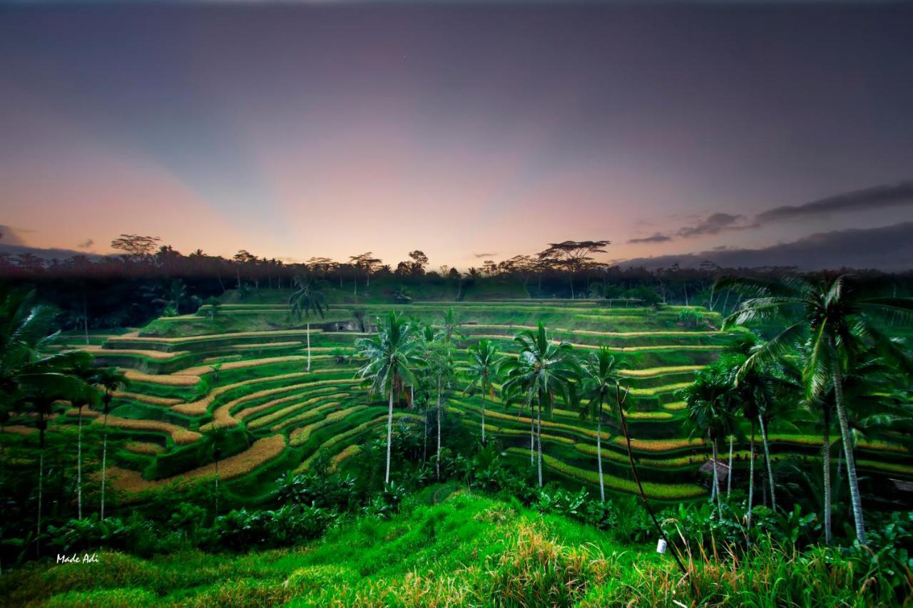 Puri Padma Hotel Ubud Exterior foto