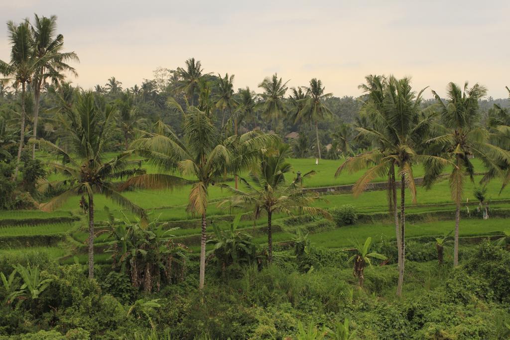 Puri Padma Hotel Ubud Exterior foto